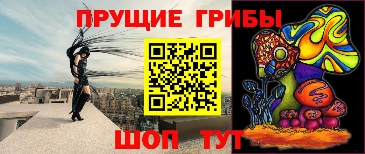Галлюциногенные грибы прущие грибы Бердск