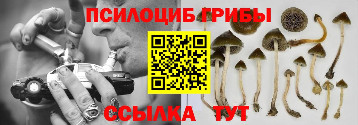 Галлюциногенные грибы Magic Shrooms  Вход с VPN  Бердск 